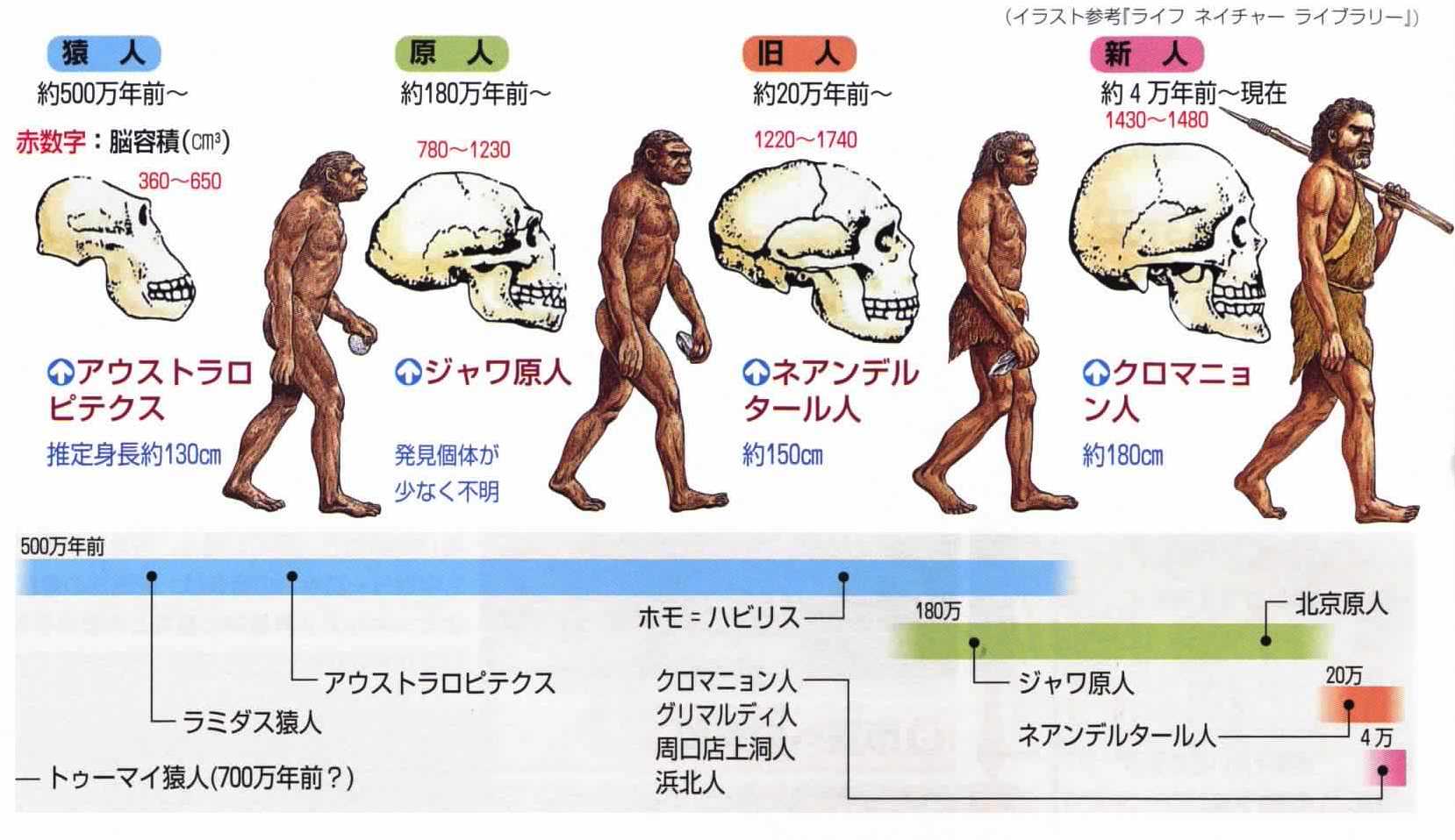 地球外生命体の証拠、人類自体が地球外生命体の証拠 | 中国を読み解く