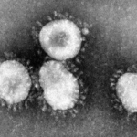 新型コロナウイルス(新型肺炎)は、SARS(サーズ)と同様、人造の生物兵器の疑いと日本を混乱させる陰謀？